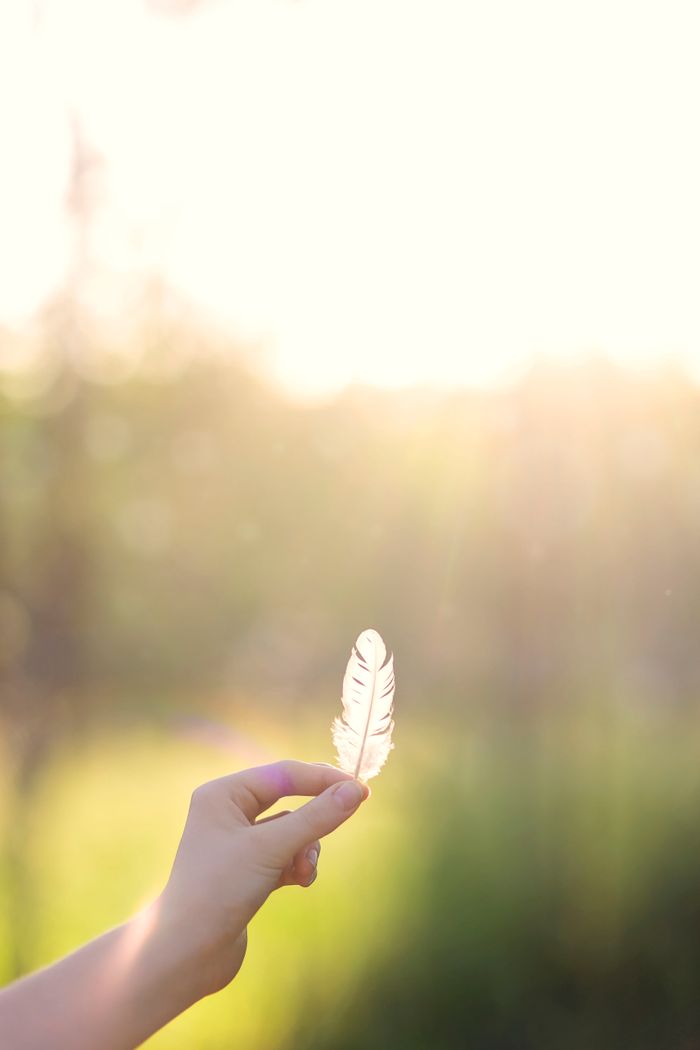 Crafting Captivating Headlines: Your awesome post title goes here A delicate feather is held in a hand with glowing sunlight in the background.